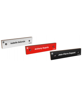 Brique du Mur de Soutien du Stade Toulousain